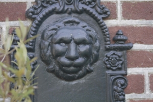 Tuin